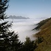 Rheintal im Nebel