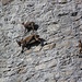 appesi al muro...