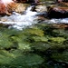  L'emissario del lago campliccioli