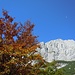 Herbstlaub unter den Südwänden des Kaiser