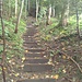 Typisch für den steilen Aufstieg von Mettlen auf den Stockberg: Treppen.