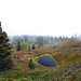 Schöne Hochmoor Landschaft