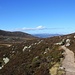 Am Horizont die Cairngorm Mountains.