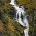 Schöner Wasserfall an der Strasse nach Elsigbach, dank dem regnerischen Wetter viel Wasser für Oktober 