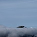 Der Rigi-Gipfel knapp über den Wolken