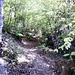 Un tratto del sentiero che si alza verso il villaggio di konjsco