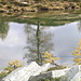 riflessi