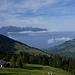 Blick auf den Genfer See.
