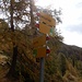 Bivio a Q2001
Si scende all' Alp de Fora, si sale alla bocchetta Bocca d' Vegeina o in piano verso la lontana capanna Boffalora
