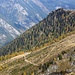 Particolare del sentiero che scende dalla bocchetta all' Alp de Fora