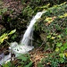 kleiner Wasserfall zum Abschluss der Wald-Pilz-Wasserfall-Runde