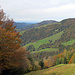 Herbstlich, total.