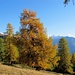 Herbst im Wallis