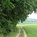 Es ging durch Feld und Wald