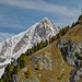 Bietschhorn mit  herbstlichem Rahmen / ca. 6.5  km Luftlinie