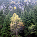 Primi colori dell'autunno.