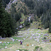 Poco dopo il rifugio inizia la traccia di salita, decisamente ripida.