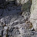 Tratto attrezzato in discesa da Colle Palu