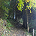 Bergweg Unterbärgli - Wilerallmi
