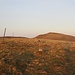 Gipfelfoto Le Petit Hohneck ( 1289m )