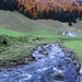 Kurz nach Wasserauen. Eiskalter Bach im herbstlichen Appenzellerland.