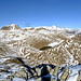 Am P.2794m.