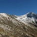 Cardinello dall'Alpe Malpensata