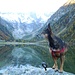 Sono io la più bella cagnolina in Val Cama!