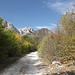 Unterwegs auf der Piste von Čemerno / Чемерно in Richtung Kalinovik / Калиновик - Die Piste zum Ausgangspunkt unserer Tour ist abschnittsweise in sehr schlechtem Zustand (hier befinden wir uns auf einem besseren Teilstück). Die herrliche Landschaft der Zelengora / Зеленгора entschädigt aber dafür umso mehr.