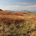 Unterwegs vom Bregoč / Брегоч zum Orlovačko jezero / Орловачко језеро - Es ist Herbst in den Zelengora / Зеленгора = "Grüne Bergen", und da gibt's hier und da auch mal andere Farben zu sehen.
