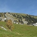 Blick auf den Schimbrig