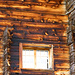 Holzbau