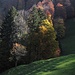 Festival de couleurs d'automne sous le Schnebelhorn