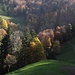 Festival de couleurs d'automne sous le Schnebelhorn