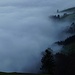 Faszinierender Nebel