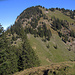 Der Gipfelaufbau vom Gross Aubrig. Ich bin via den Grat links hinauf - und über die steile Grasflanke rechts hinabgestiegen.