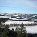 Reizvolle Winterlandschaft im ZH-Oberland