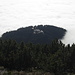 die Muttersberg-Bergstation - fast wie eine Insel im Nebelmeer