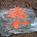 simbolo MTB sulla roccia