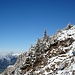 Eine Gams mit Nachwuchs bewacht den Weg am Gipfelaufschwung zum Rubihorn.