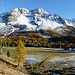 Val da Camp - wunderschön