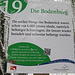 [http://www.die-ersten-am-see.de/viewpage.php?page_id=301 Interaktives Wanderportal von Bodman-Ludwigshafen]