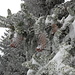 Erste Winterimpressionen