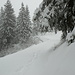 Auf dem Weg zur Holzegg, Wenn der Skibetrieb eröffnet ist, ist dieser Weg leider gesperrt.