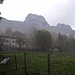 Terz'Alpe.