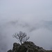 il luogo della cache non trovata.Ci sarà?