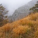 sul sentiero del Sasso Malascarpa.