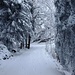 Strasse nach Biel
