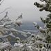 Lago di Pusiano con cornice invernale