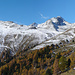 Panorama Alp Muntatsch